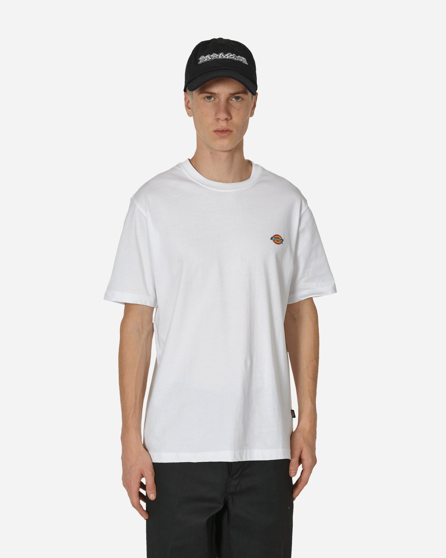 Dickies Ss Mapleton T-Shirt White T-Shirts Shortsleeve DK0A4XDB WHX1