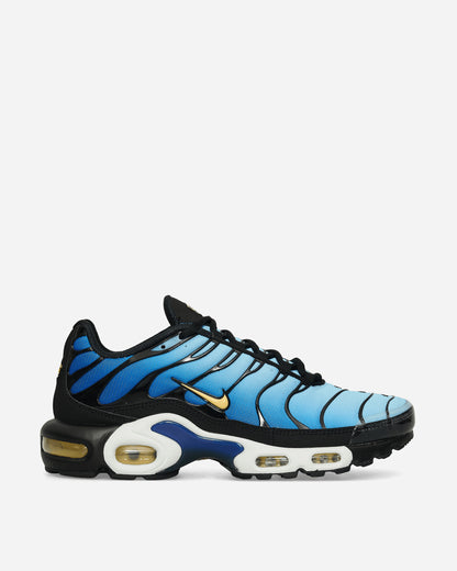 Nike Nike Air Max Plus Og Black/Chamois Sneakers Low DX0755-001