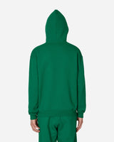 Nike Jordan Air Jordan Wm Flc Hoodie Pine Green Sweatshirts Hoodies FJ1966-302