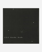 Vinyls Curated by Public Possession Haruomi Hosono - N.D.E Eu2Lp Music Vinyls RH-STOREJPN10 001